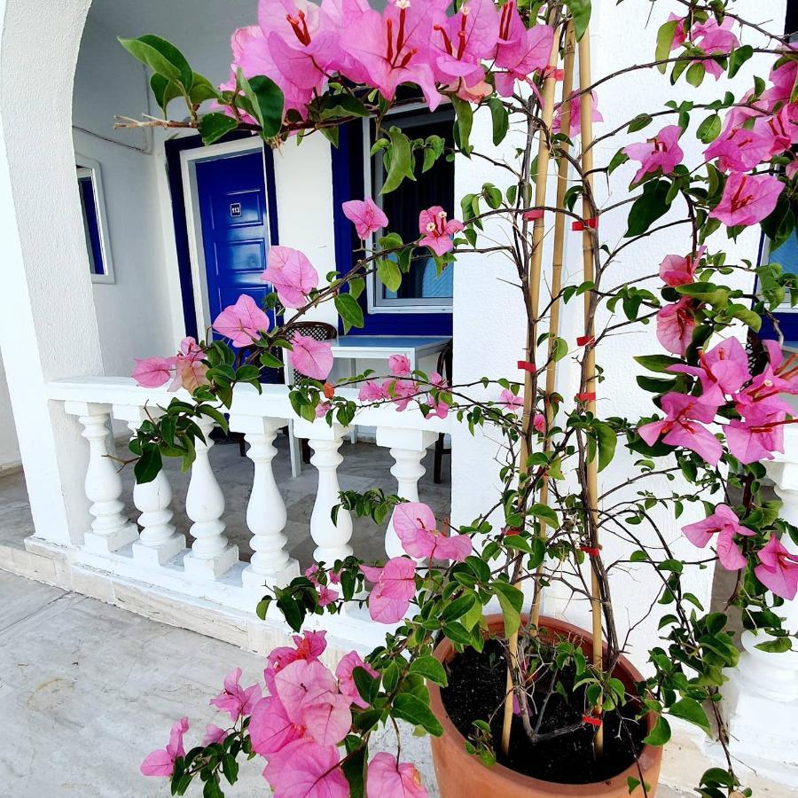 Dreams Bodrum Hotel Exterior foto